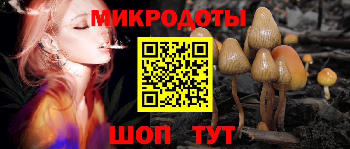 Тара  Псилоцибиновые грибы мицелий  Вход с VPN 
